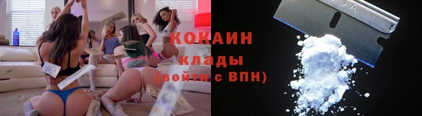 прущие крисы Вяземский