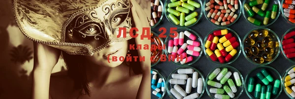 прущие крисы Вяземский