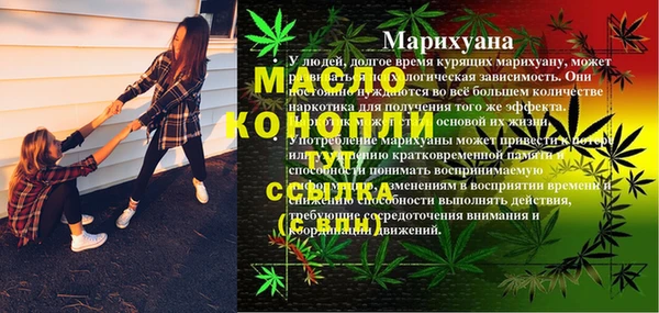 прущие крисы Вяземский
