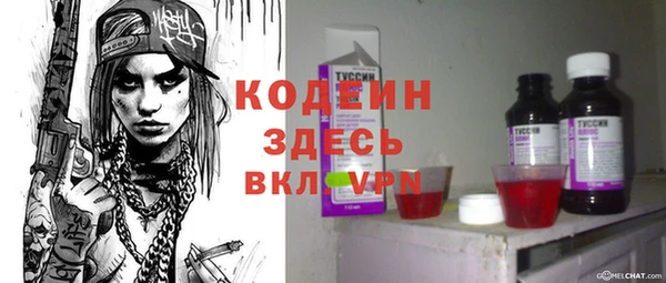 прущие крисы Вяземский