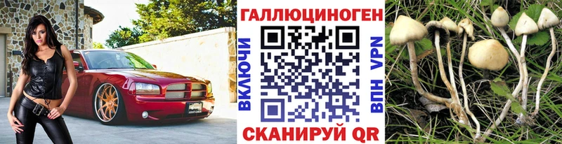 купить наркоту  blacksprut как зайти  Псилоцибиновые грибы прущие грибы  Новокузнецк 
